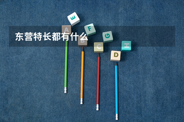 东营特长都有什么