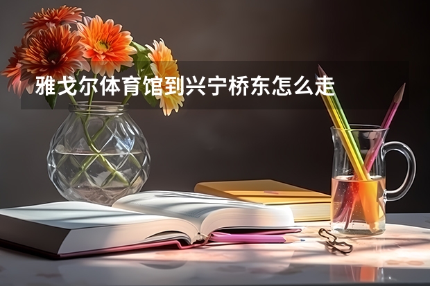 雅戈尔体育馆到兴宁桥东怎么走
