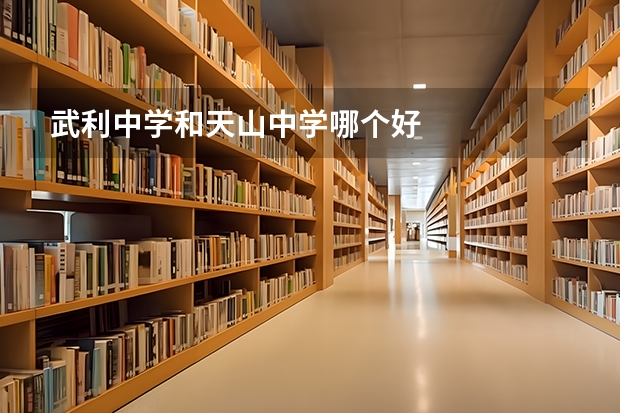 武利中学和天山中学哪个好